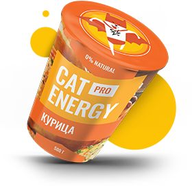 Изображение упаковки Cat Energy Pro 500 грамм